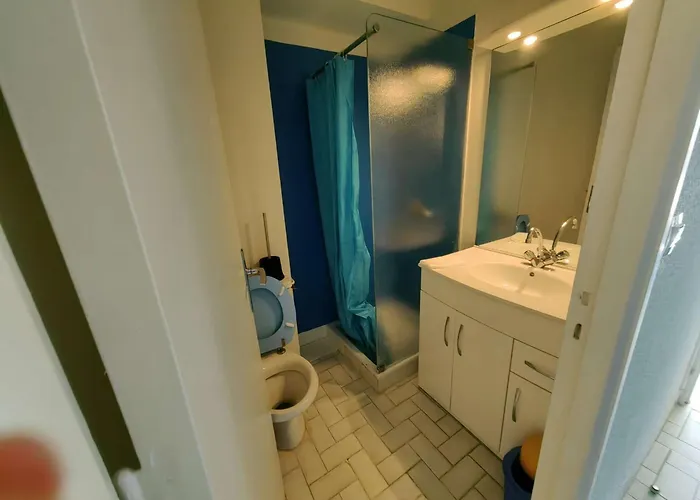 Alcove 4 Pers, Parking, Clim A 20m De La - Fr-1-607-184 Lejlighed Agde