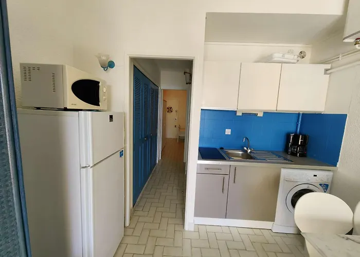 Lejlighed Alcove 4 Pers, Parking, Clim A 20m De La - Fr-1-607-184 *