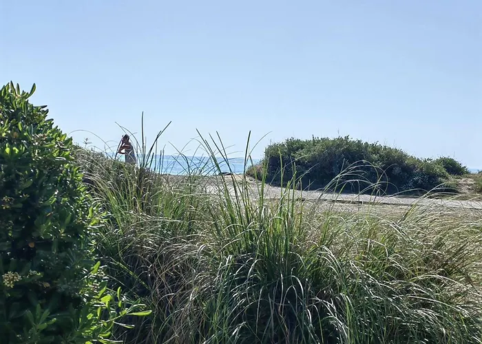 Lejlighed Alcove 4 Pers, Parking, Clim A 20m De La - Fr-1-607-184